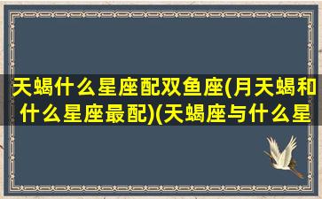 天蝎什么星座配双鱼座(月天蝎和什么星座最配)(天蝎座与什么星座最配 - 星座屋)